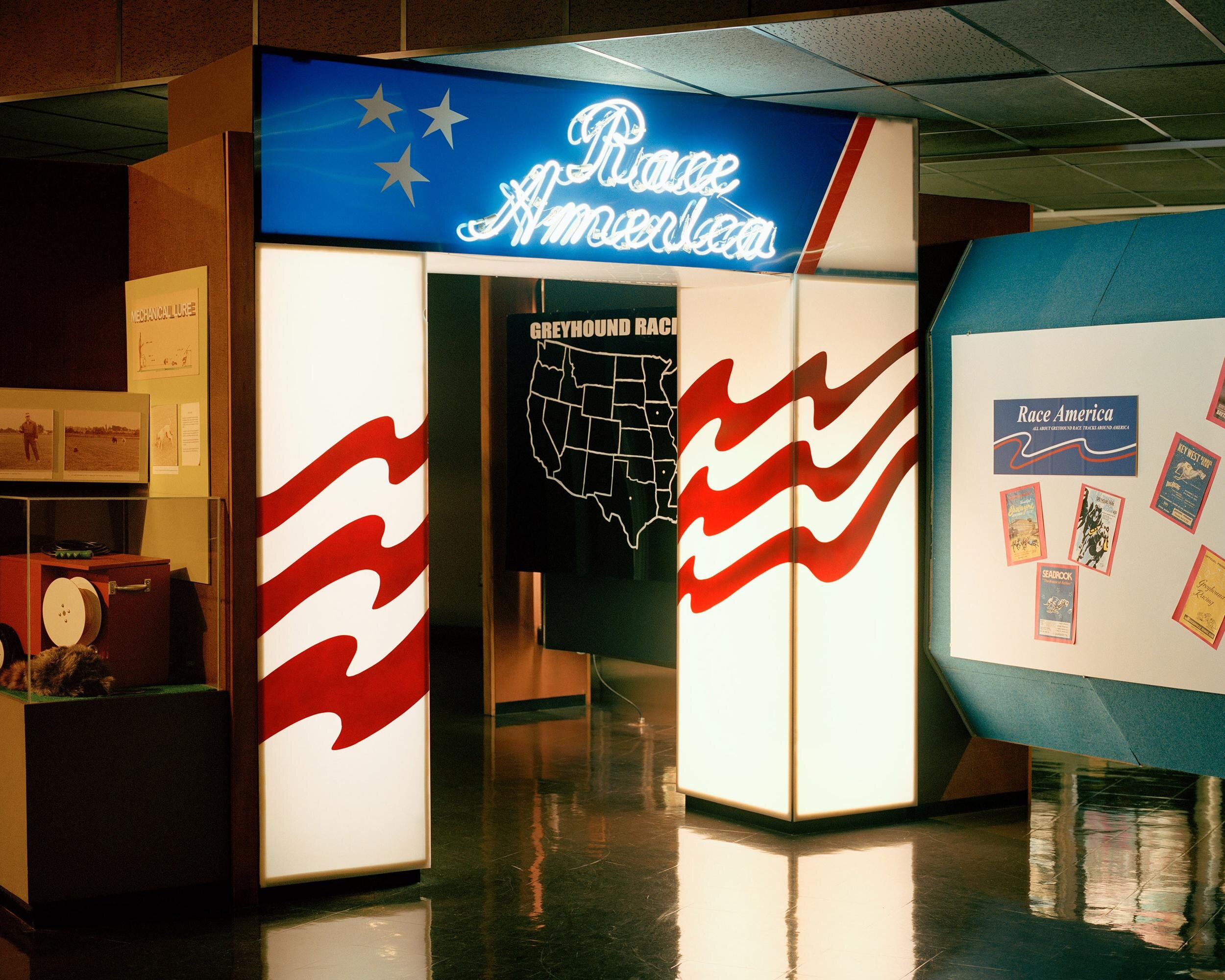 Color photograph shows greyhound racing museum exhibition--a neon sign reads "Race America"